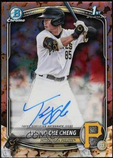 Tsung-Che Cheng