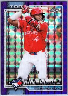 Vladimir Guerrero Jr.