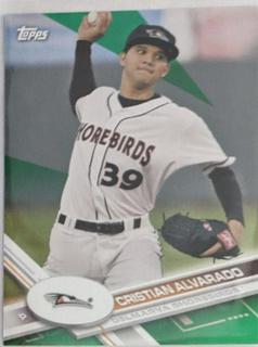 Cristian Alvarado