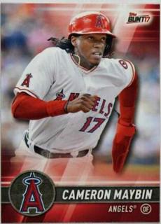 Cameron Maybin