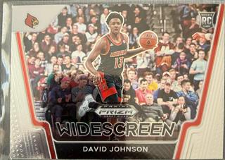 David Johnson