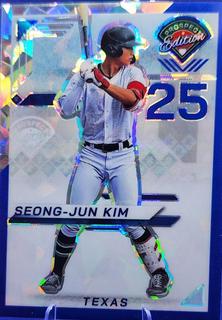 Seong-Jun Kim