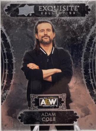 Adam Cole #8 Wrestling Cards 2024 Upper Deck Black Diamond AEW Exquisite Collection