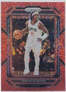 Terance Mann