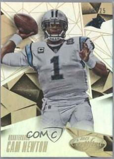 Cam Newton