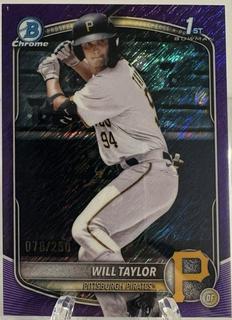 Will Taylor
