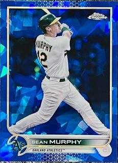 Sean Murphy