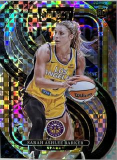 Sarah Ashlee Barker