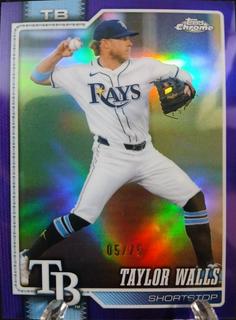 Taylor Walls
