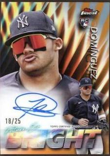 Jasson Dominguez