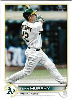 Sean Murphy