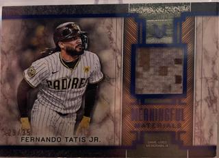 Fernando Tatis Jr.