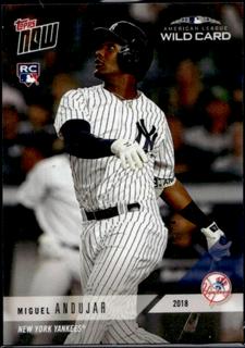 Miguel Andujar