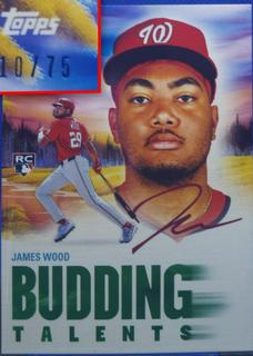 James Wood