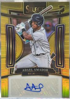 Adael Amador