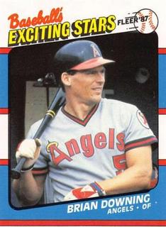 Brian Downing