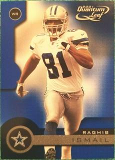 Raghib Ismail
