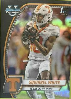 Squirrel White