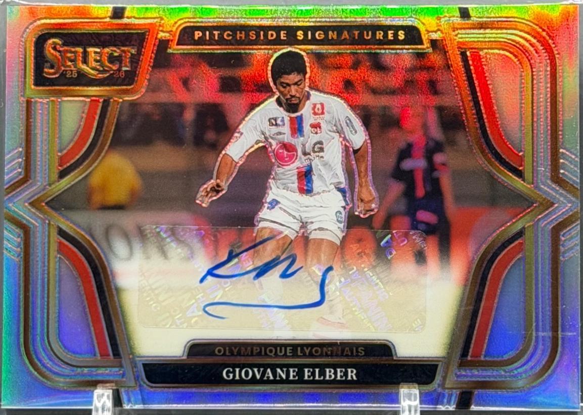 Giovane Elber