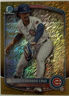 Fernando Cruz