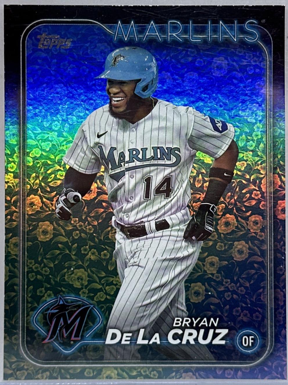 Bryan De La Cruz [Flowers] (2024 Topps)