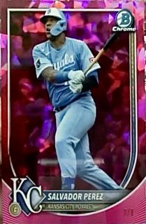 Salvador Perez