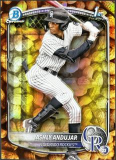 Ashly Andujar