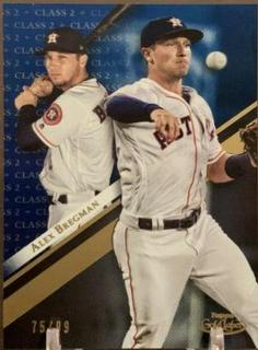 Alex Bregman