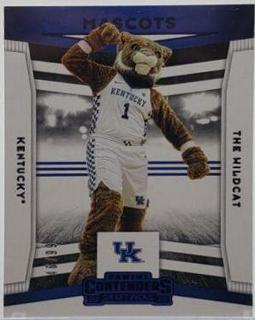 The Wildcat