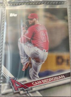 Cam Bedrosian