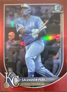 Salvador Perez