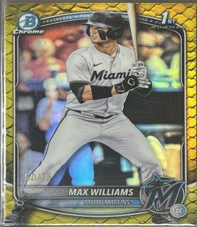 Max Williams