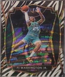 PJ Washington Jr.