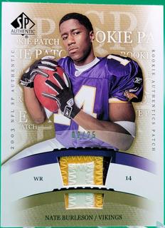 Nate Burleson