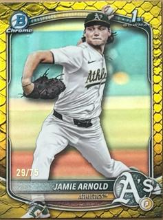 Jamie Arnold