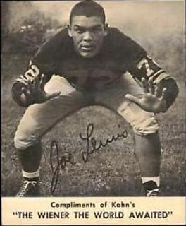 Joe Lewis