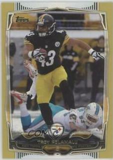 Troy Polamalu