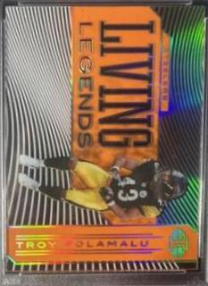 Troy Polamalu