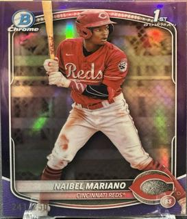 Naibel Mariano