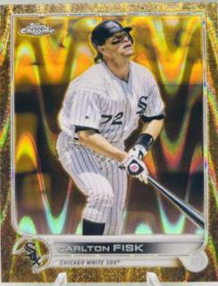 Carlton Fisk