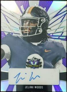 Jelani Woods