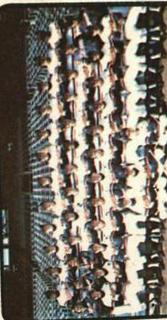 Twins Team