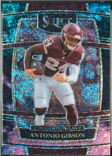 Antonio Gibson