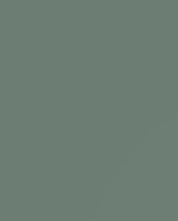 Zach Evans