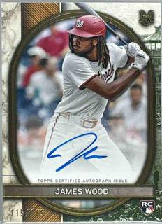 James Wood