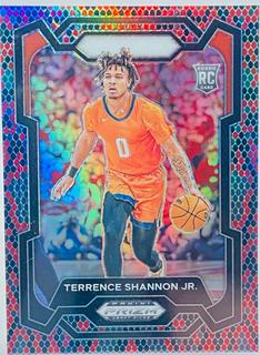 Terrence Shannon Jr.