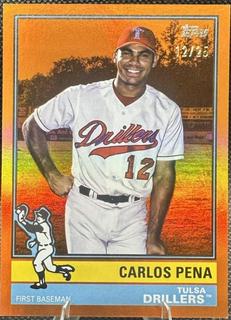Carlos Pena