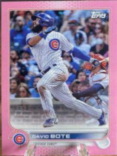 David Bote