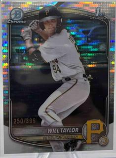 Will Taylor