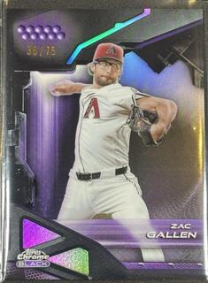 Zac Gallen